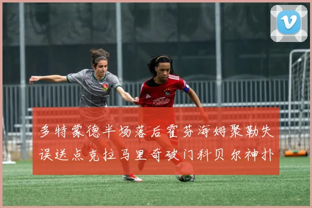多特蒙德半场落后霍芬海姆聚勒失误送点克拉马里奇破门科贝尔神扑救险局